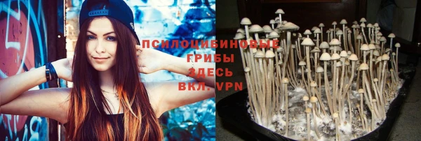 метадон Зерноград