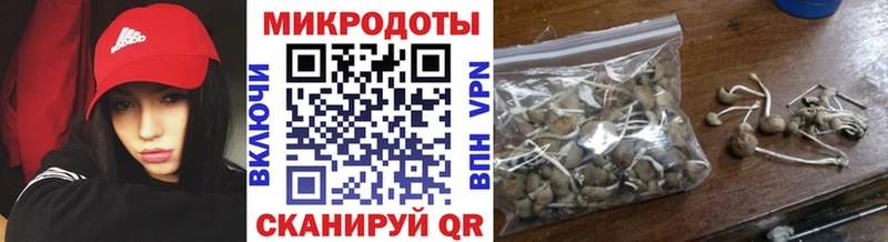 Купить где  Белинский  Галлюциногенные грибы ЛСД 
